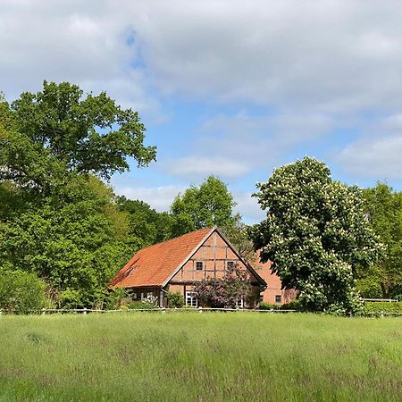 Ferienhaeuser Weitblick Gilten エクステリア 写真