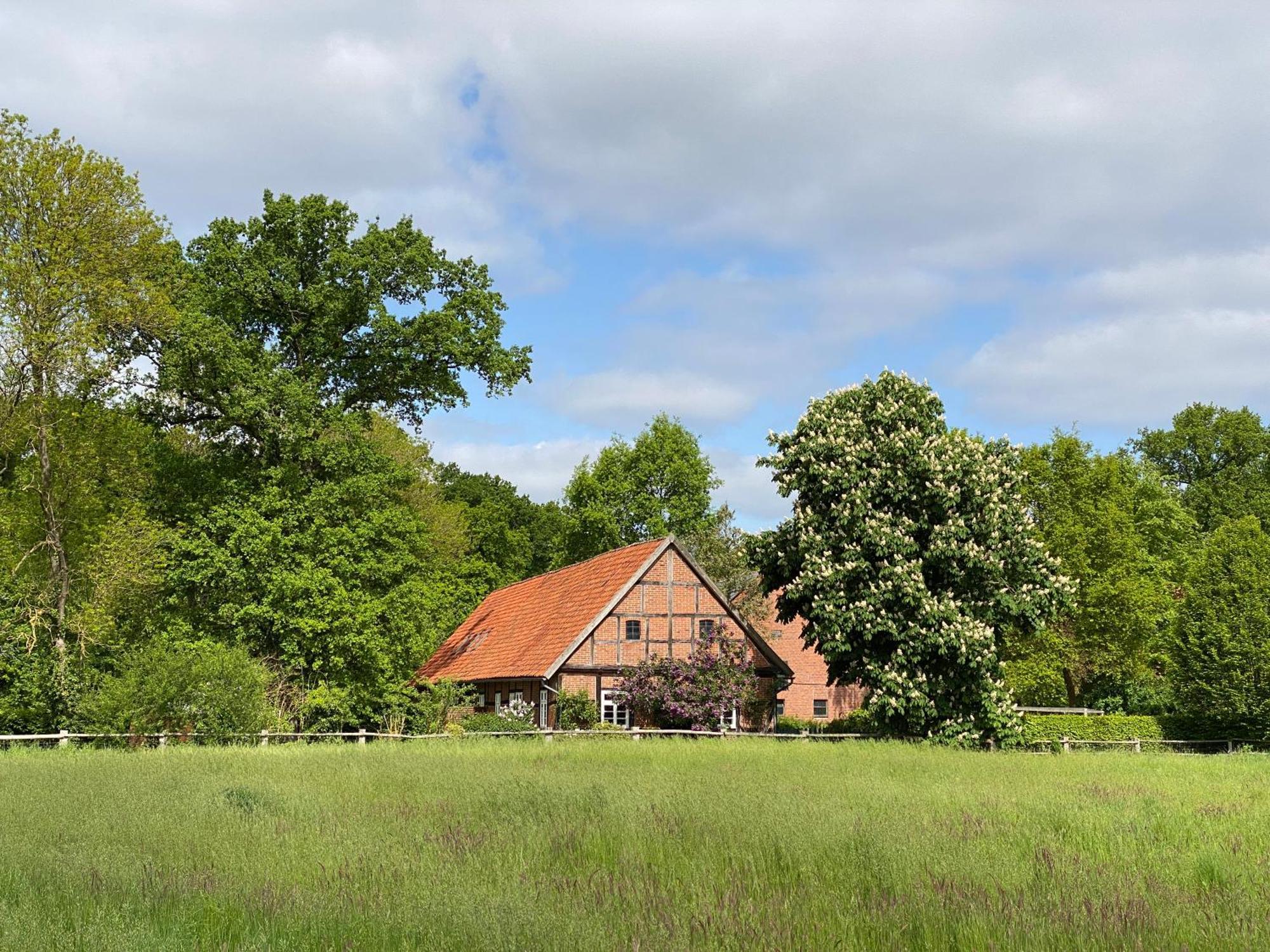 Ferienhaeuser Weitblick Gilten エクステリア 写真