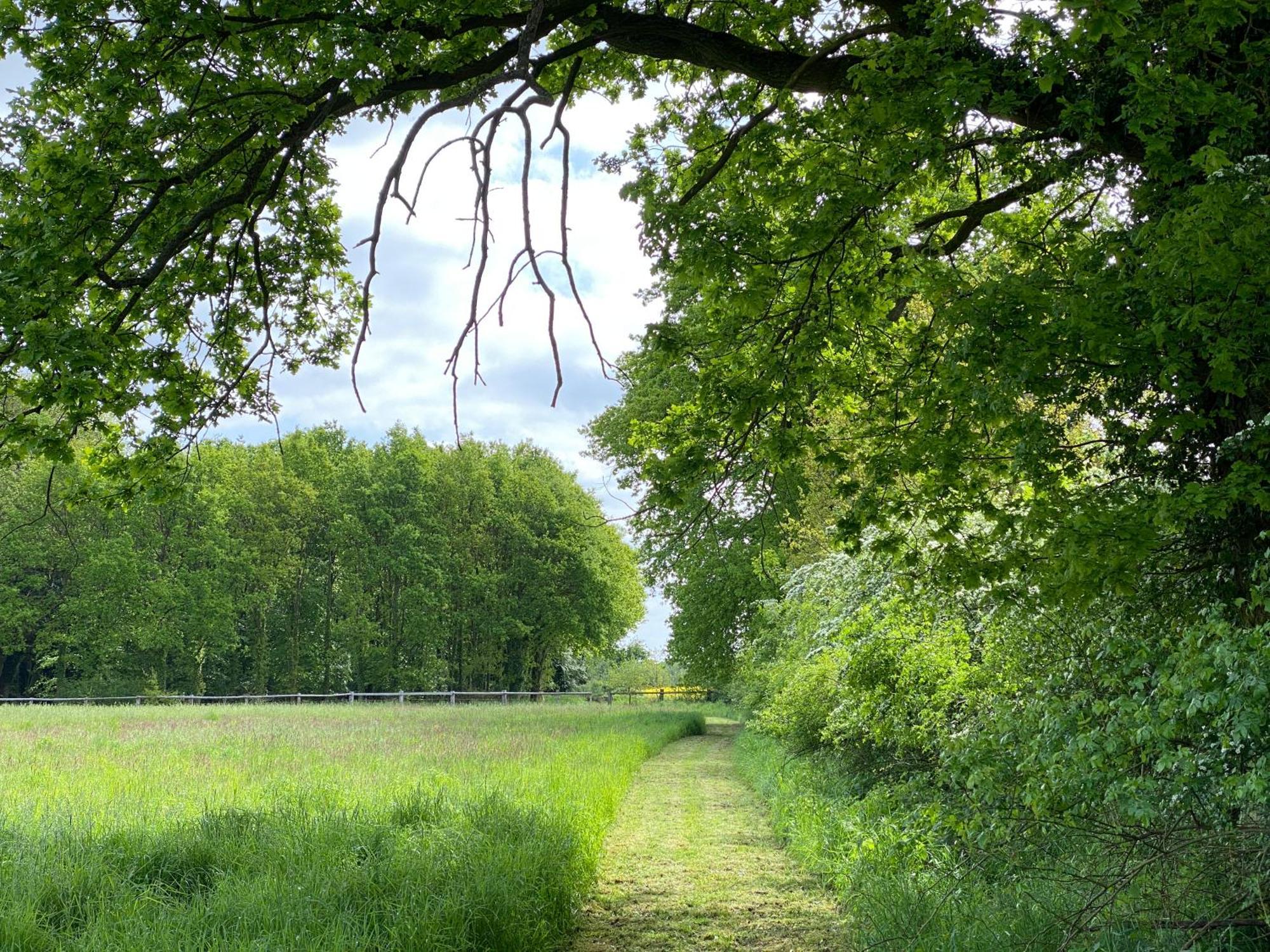 Ferienhaeuser Weitblick Gilten エクステリア 写真